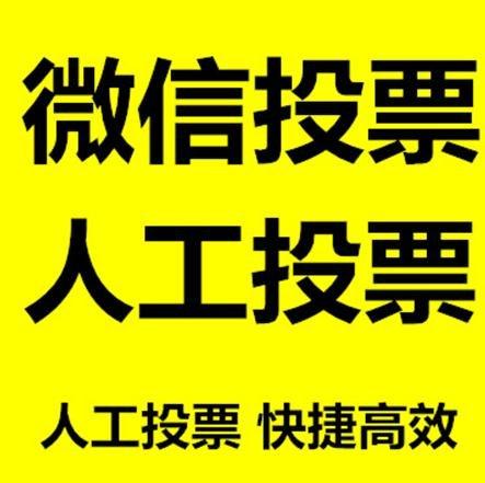 延边朝鲜族自治州投票活动拉票能被查出来吗？如何操作能不被发现？